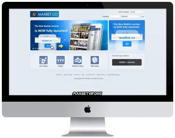 maxbet