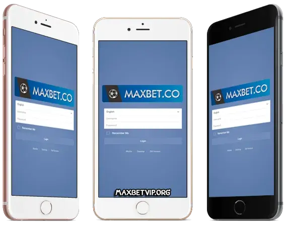 maxbet